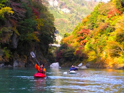 Tokyo Travel Guide  Tokyo Tourism - KAYAK