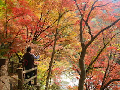 Shosenkyo Gorge - GaijinPot Travel